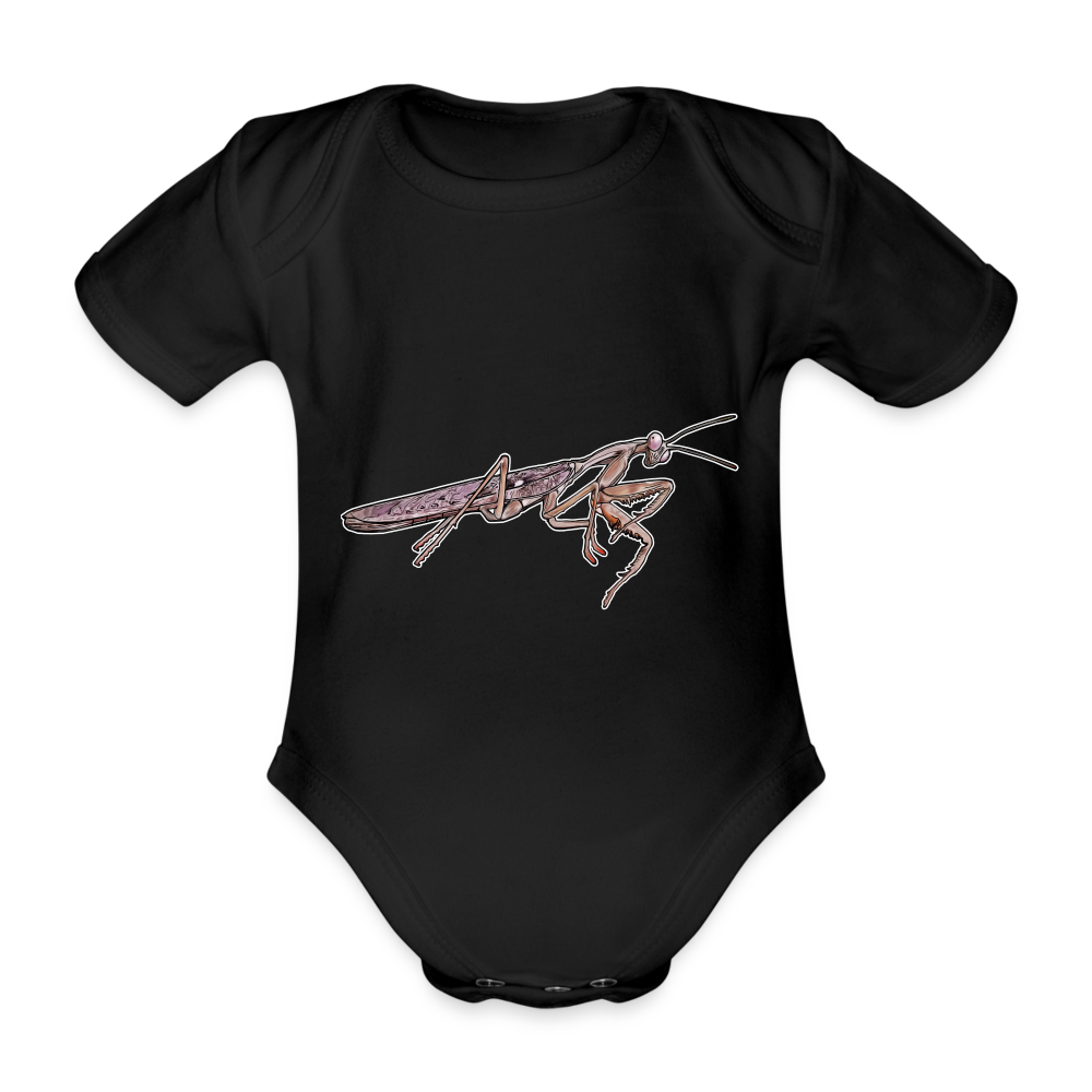 Baby Body kurz Rhombodera kirbyi Male - Schwarz