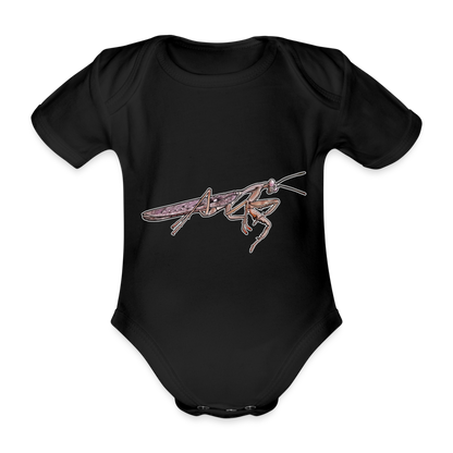 Baby Body kurz Rhombodera kirbyi Male - Schwarz