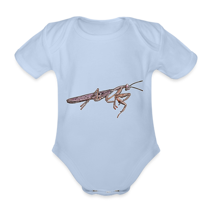 Baby Body kurz Rhombodera kirbyi Male - Sky