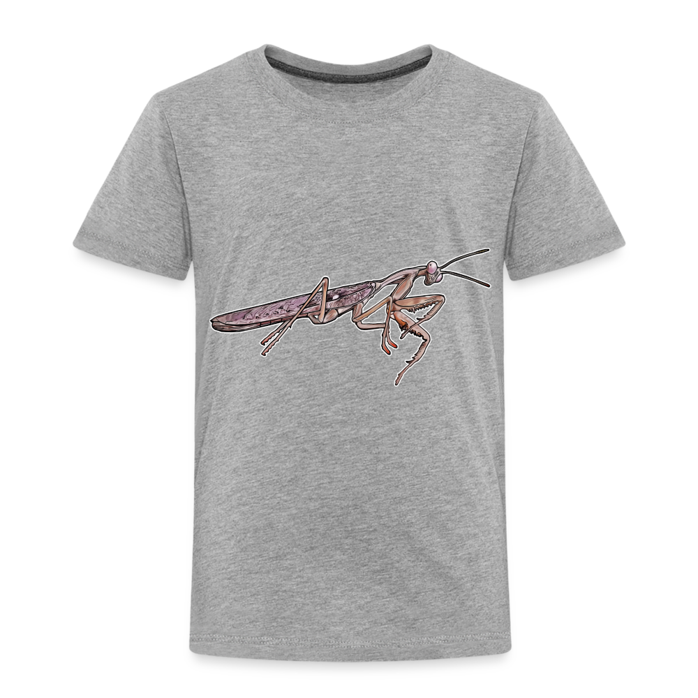 Kinder Basic T-Shirt Rhombodera kirbyi Male - Grau meliert