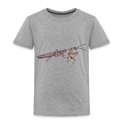 Kinder Basic T-Shirt Rhombodera kirbyi Male - Grau meliert
