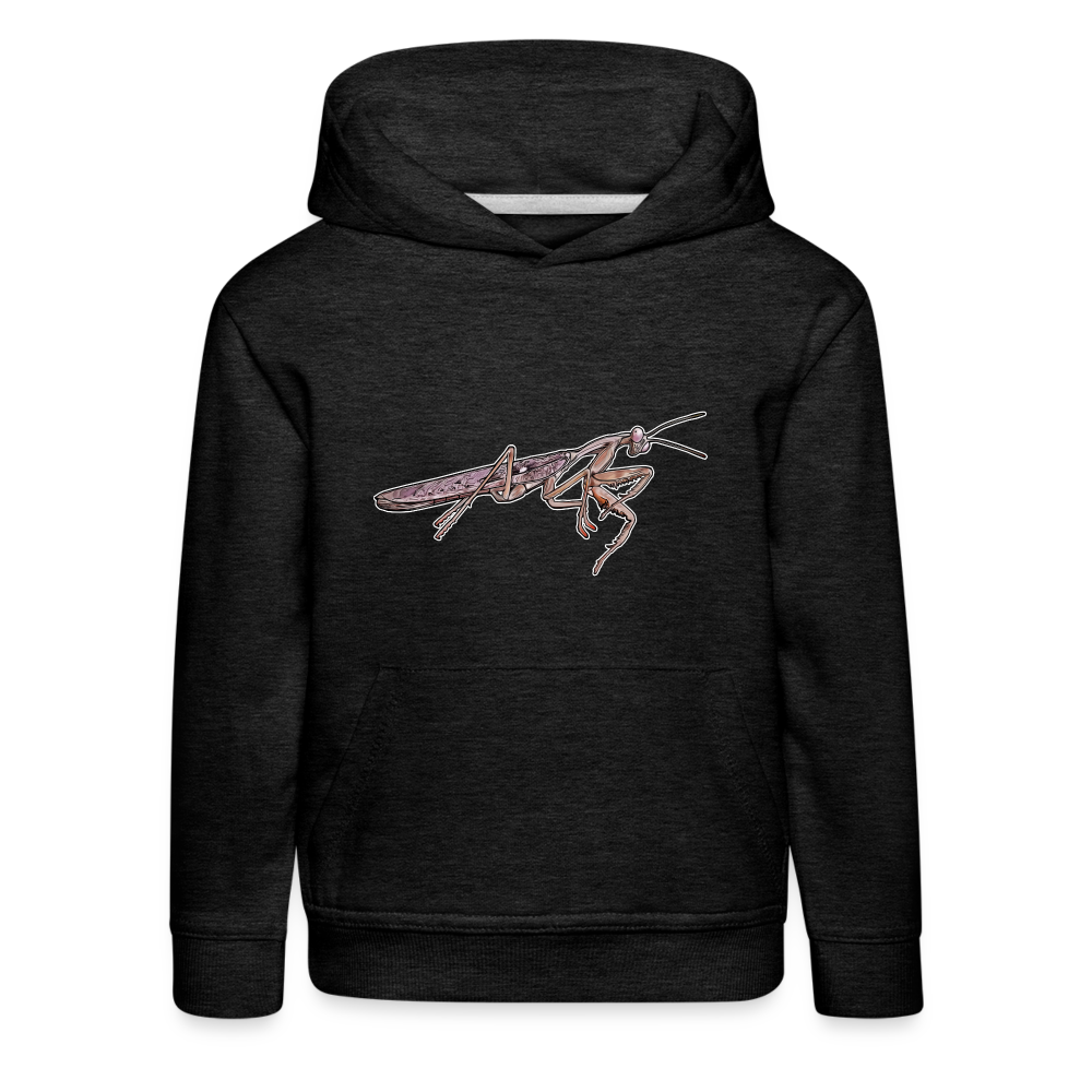 Kinder Hoodie Rhombodera kirbyi Male - Anthrazit