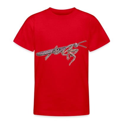 Teenager Basic T-Shirt Rhombodera kirbyi Male - Rot