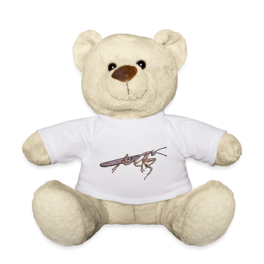 Teddy Rhombodera kirbyi male - weiß