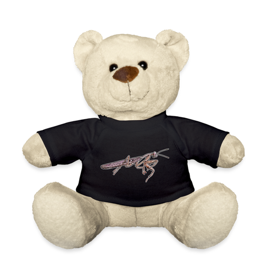 Teddy Rhombodera kirbyi male - Schwarz
