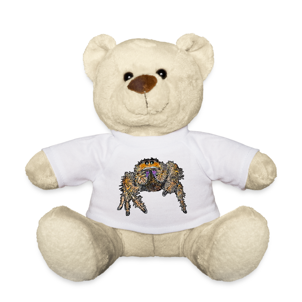 Teddy Phidippus regius Everglades female - weiß