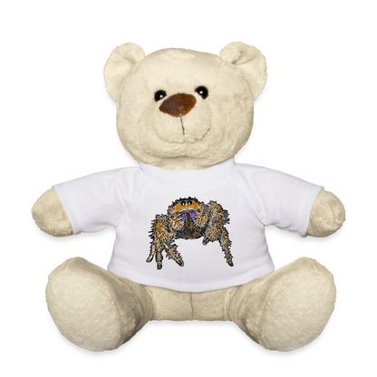 Teddy Phidippus regius Everglades female - weiß