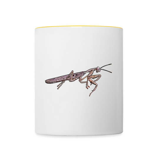 Tasse farbig Rhombodera kirbyi male - Weiß/Gelb