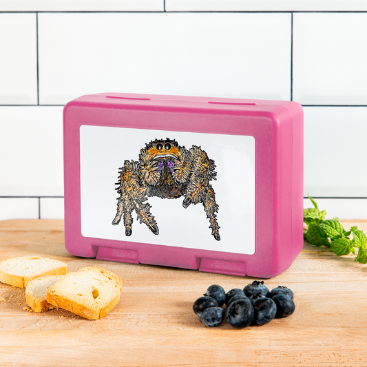Lunchbox Phidippus regius Everglades female - Pink