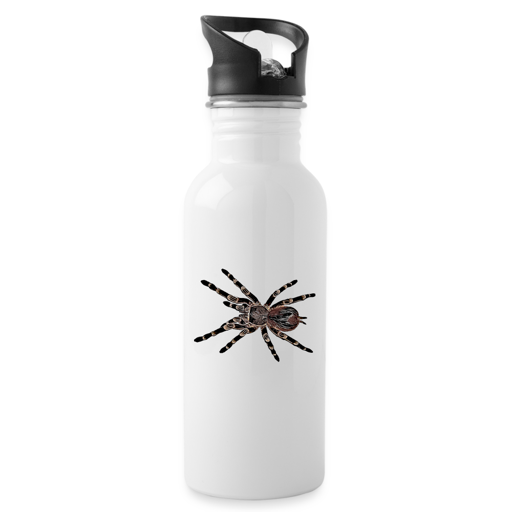 Trinkflasche Acanthoscurria geniculata - weiß