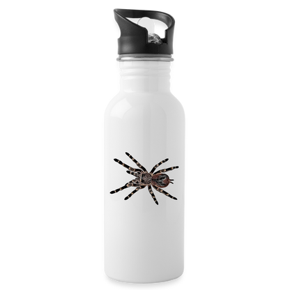 Trinkflasche Acanthoscurria geniculata - weiß