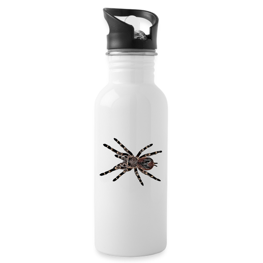 Trinkflasche Acanthoscurria geniculata - weiß