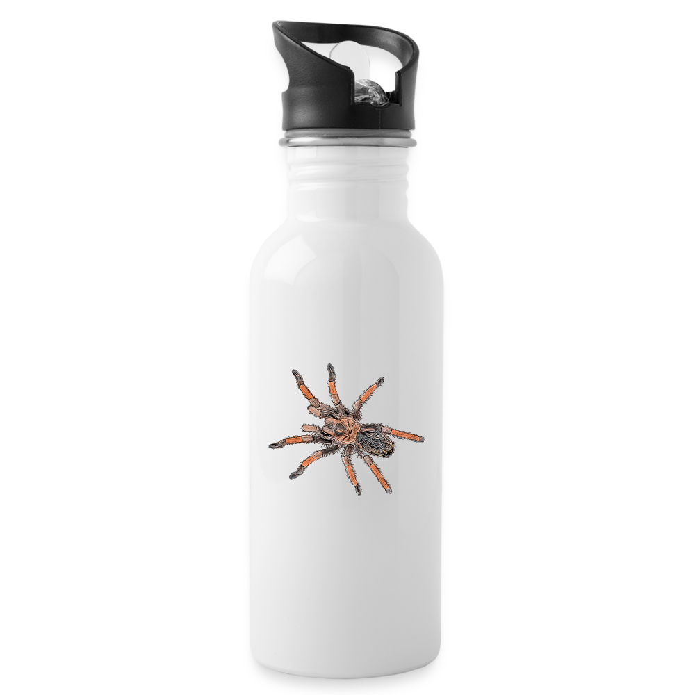 Trinkflasche Brachypelma emilia - weiß