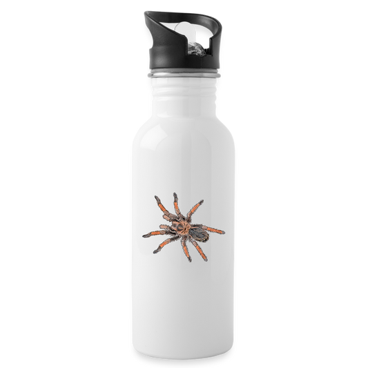 Trinkflasche Brachypelma emilia - weiß