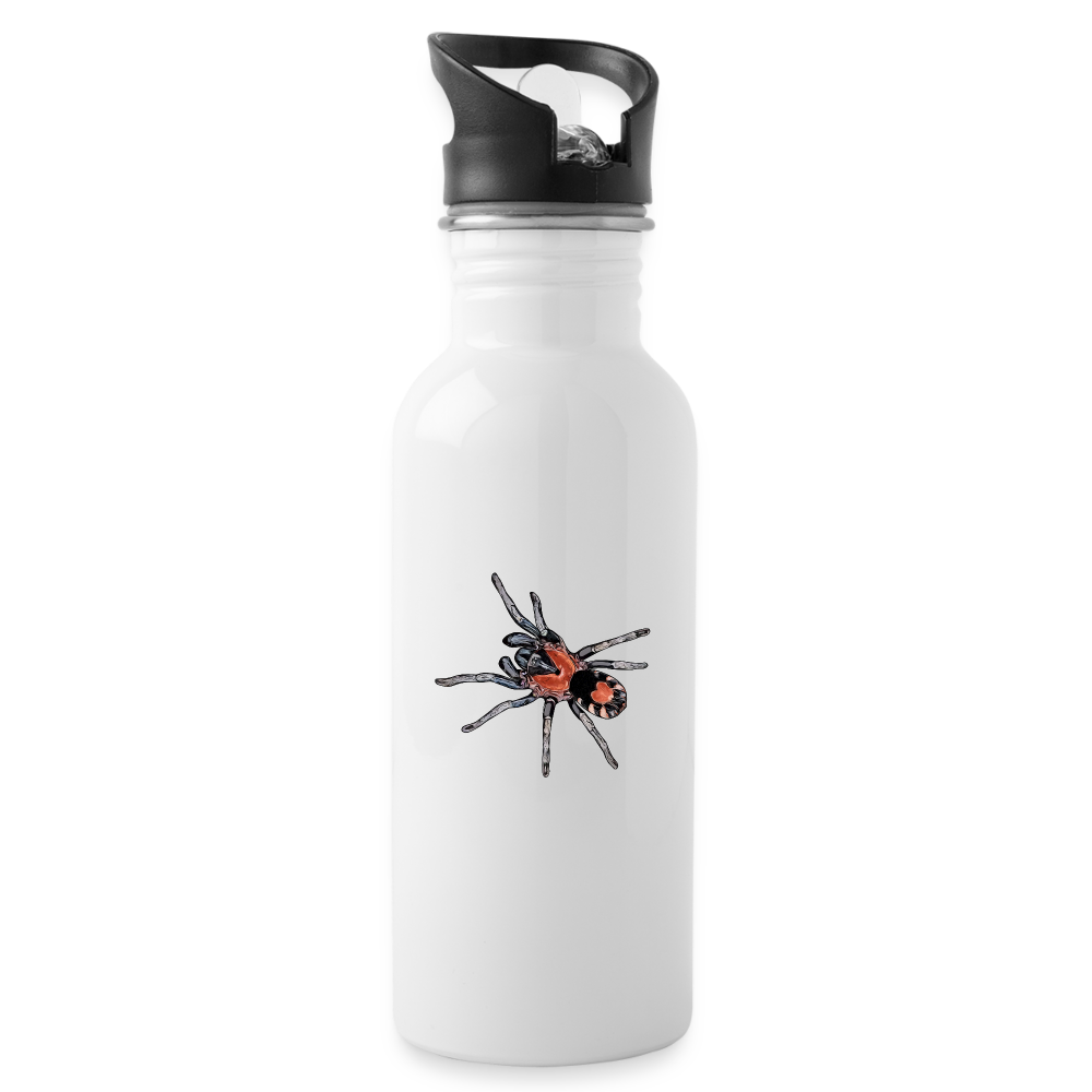 Trinkflasche Cyriocosmus elegans - weiß