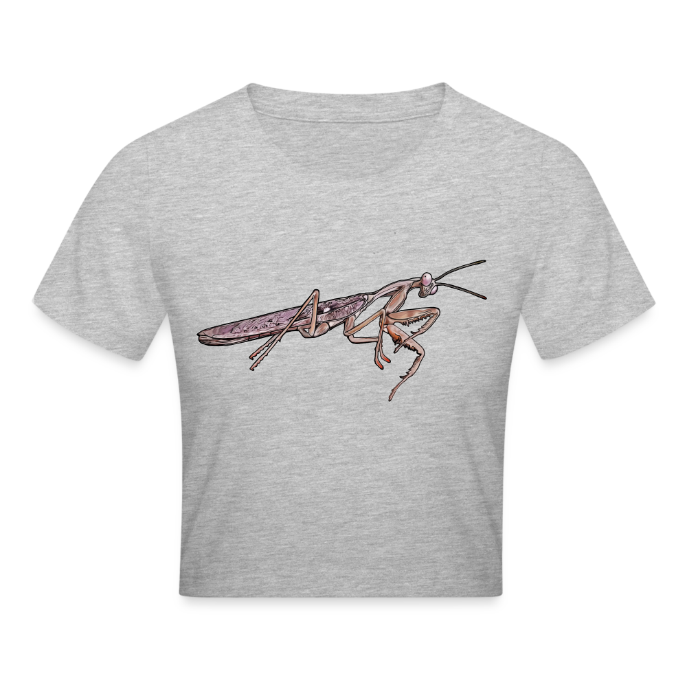 Crop T-Shirt Rhombodera kirbyi male - Grau meliert