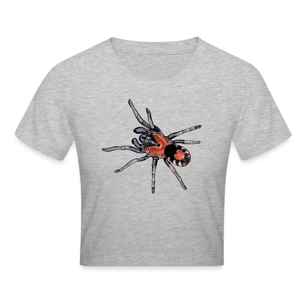 Crop T-Shirt Cyriocosmus elegans - Grau meliert