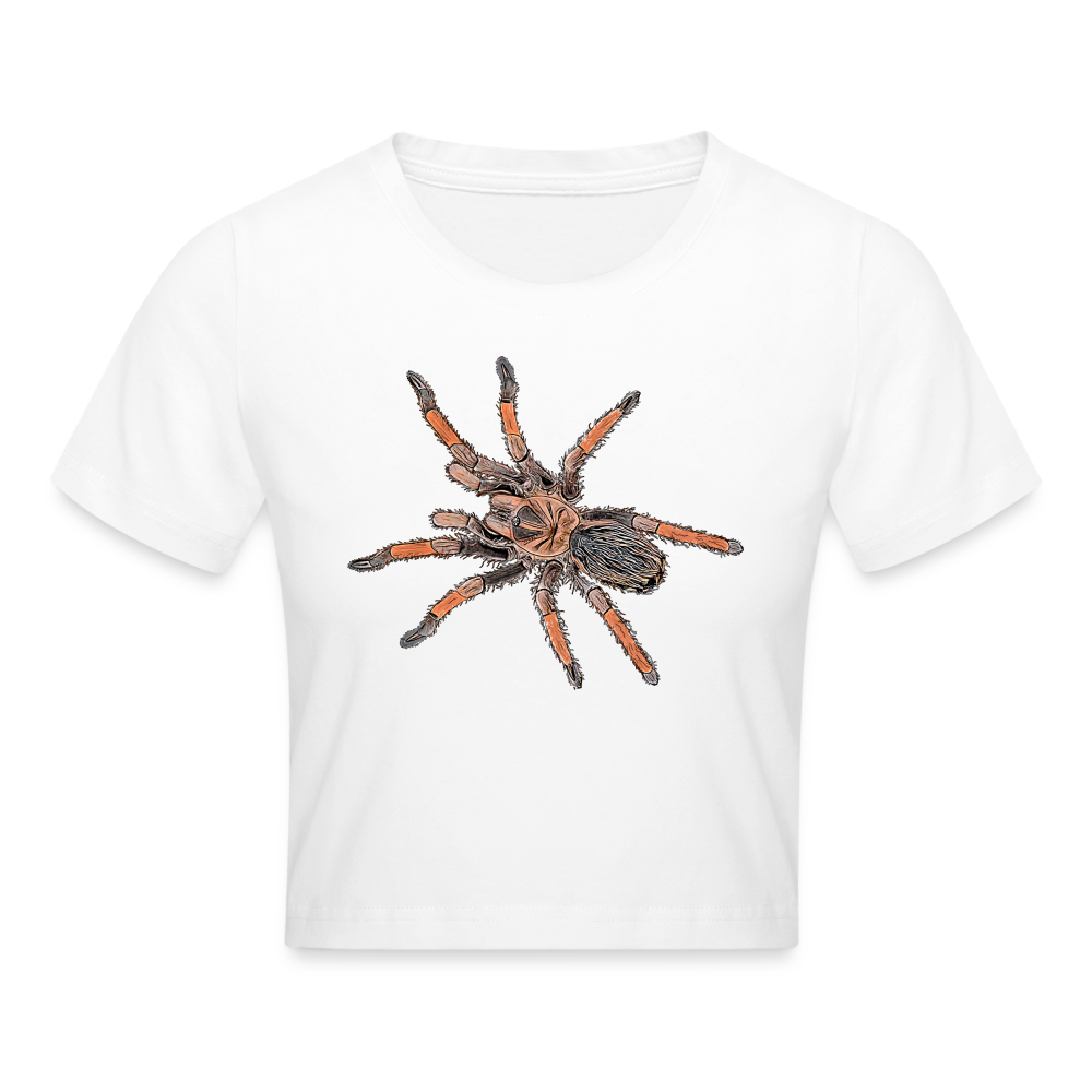 Crop T-Shirt Brachypelma emilia - weiß