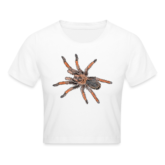 Crop T-Shirt Brachypelma emilia - weiß