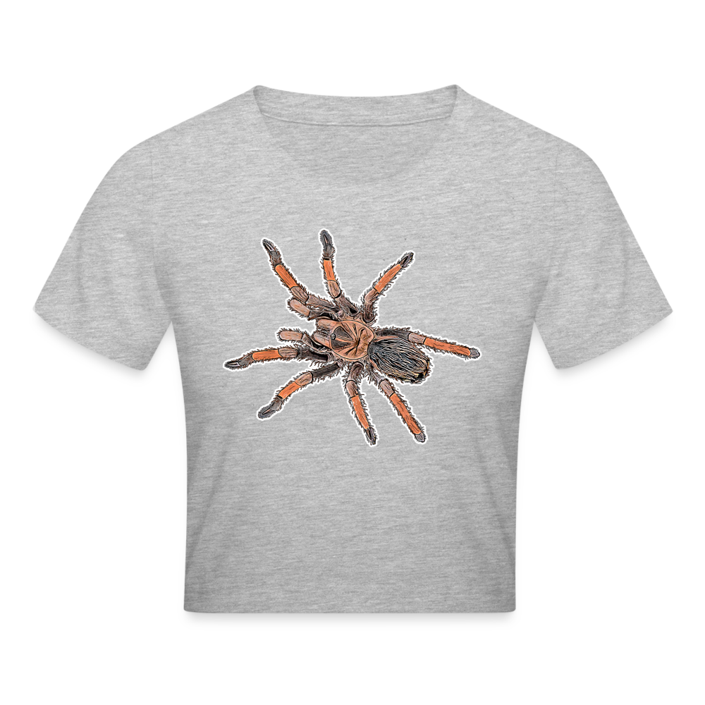Crop T-Shirt Brachypelma emilia - Grau meliert