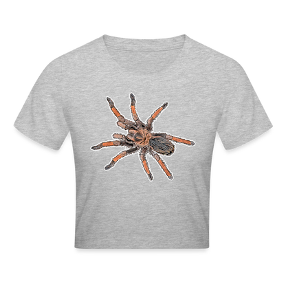 Crop T-Shirt Brachypelma emilia - Grau meliert