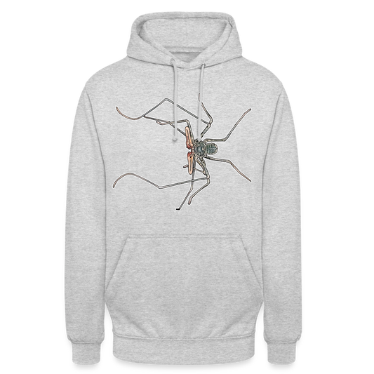 Unisex Hoodie Euphrynichus bacillifer - Hellgrau meliert