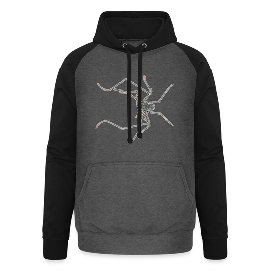Unisex Baseball Hoodie Euphrynichus bacillifer - Graphit/Schwarz