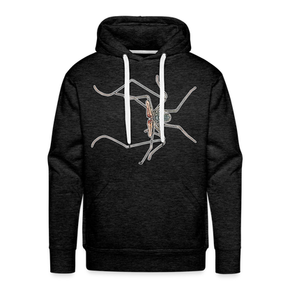 Männer Hoodie Euphrynichus bacillifer - Anthrazit