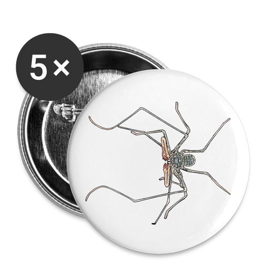 Buttons groß 56 mm (5er Pack) Euphrynichus bacillifer - weiß