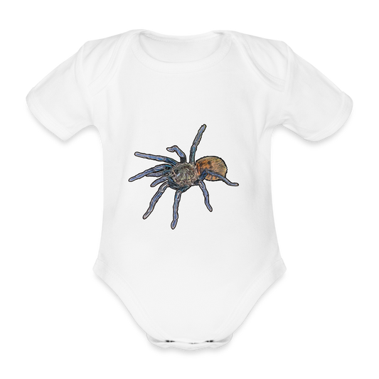 Baby Body kurz Chromatopelma cyaneopubescens - weiß