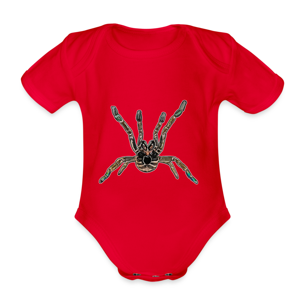 Baby Body kurz Pterinochilus murinus tcf - Rot