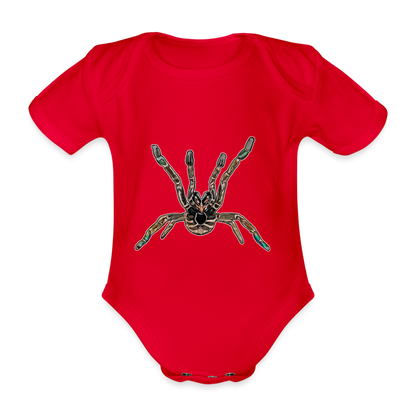 Baby Body kurz Pterinochilus murinus tcf - Rot