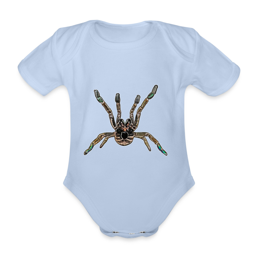 Baby Body kurz Pterinochilus murinus tcf - Sky
