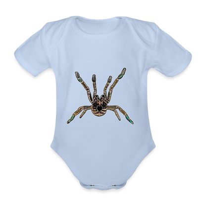 Baby Body kurz Pterinochilus murinus tcf - Sky