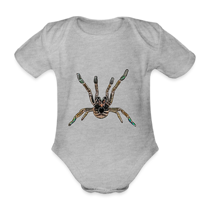 Baby Body kurz Pterinochilus murinus tcf - Grau meliert