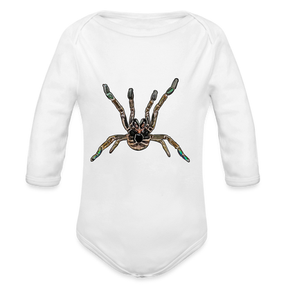 Baby Body lang Pterinochilus murinus tcf - weiß