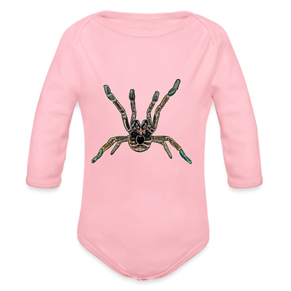 Baby Body lang Pterinochilus murinus tcf - Hellrosa