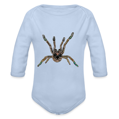 Baby Body lang Pterinochilus murinus tcf - Sky