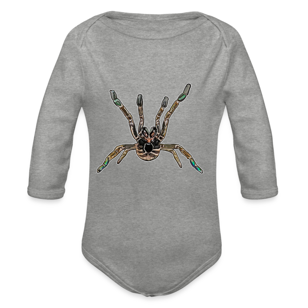 Baby Body lang Pterinochilus murinus tcf - Grau meliert