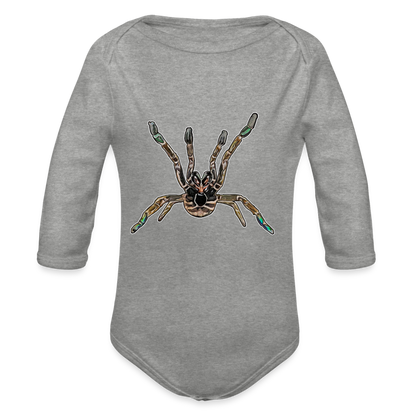 Baby Body lang Pterinochilus murinus tcf - Grau meliert