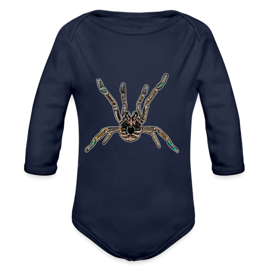 Baby Body lang Pterinochilus murinus tcf - Dunkelnavy