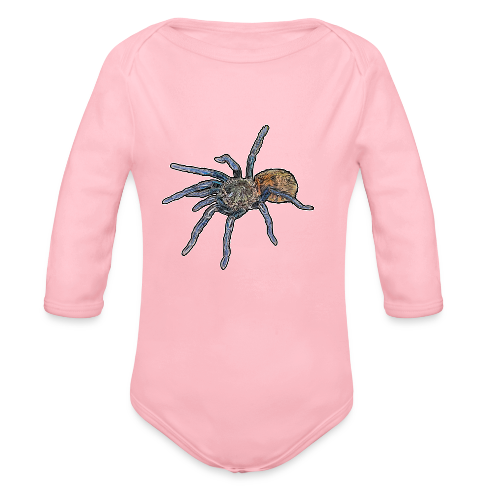 Baby Body lang Chromatopelma cyaneopubescens - Hellrosa