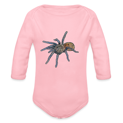 Baby Body lang Chromatopelma cyaneopubescens - Hellrosa