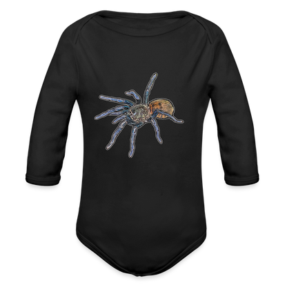 Baby Body lang Chromatopelma cyaneopubescens - Schwarz