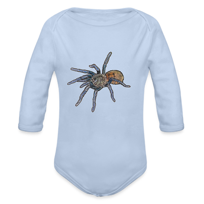 Baby Body lang Chromatopelma cyaneopubescens - Sky