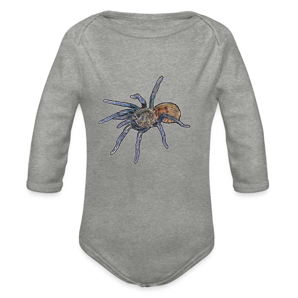 Baby Body lang Chromatopelma cyaneopubescens - Grau meliert
