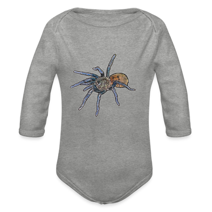 Baby Body lang Chromatopelma cyaneopubescens - Grau meliert