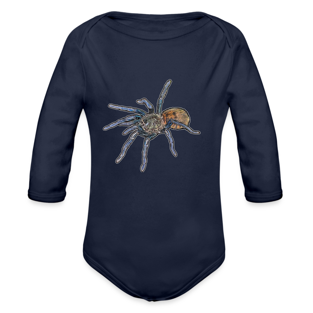 Baby Body lang Chromatopelma cyaneopubescens - Dunkelnavy