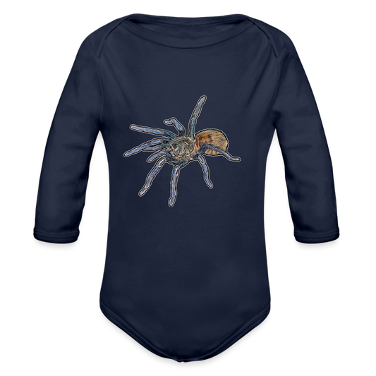 Baby Body lang Chromatopelma cyaneopubescens - Dunkelnavy