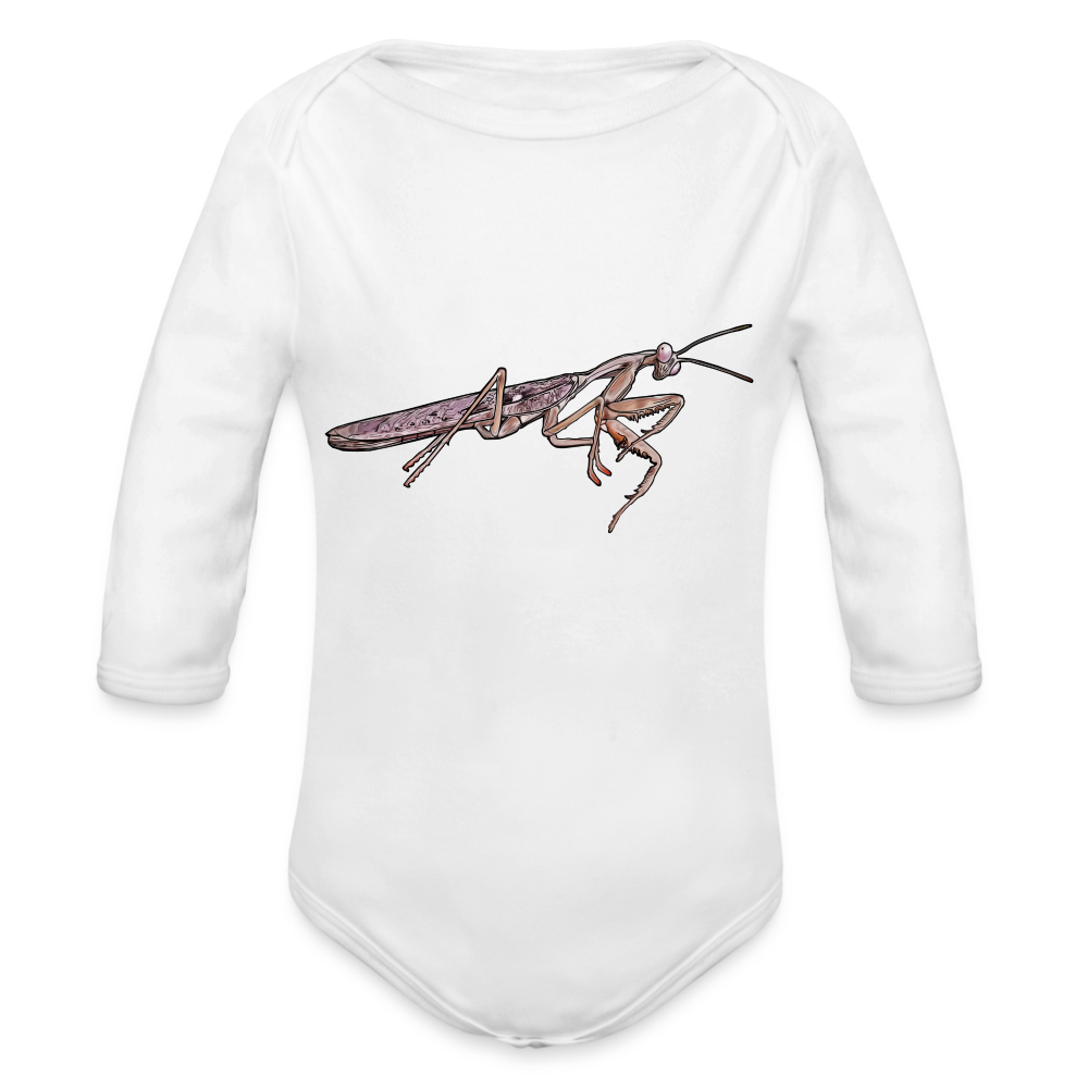 Baby Body lang Rhombodera kirbyi male - weiß